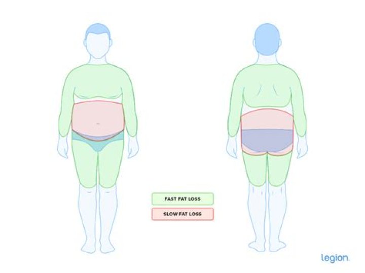Where do you lose weight first