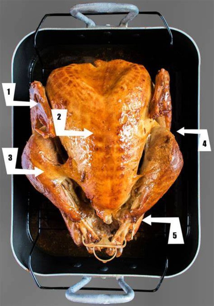 Where Is The Thigh On A Turkey