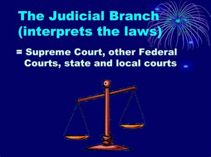 Which Branch Of Government Interprets Laws