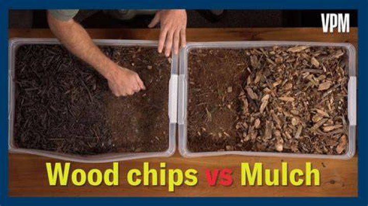 Wood chips vs mulch - How To Discuss