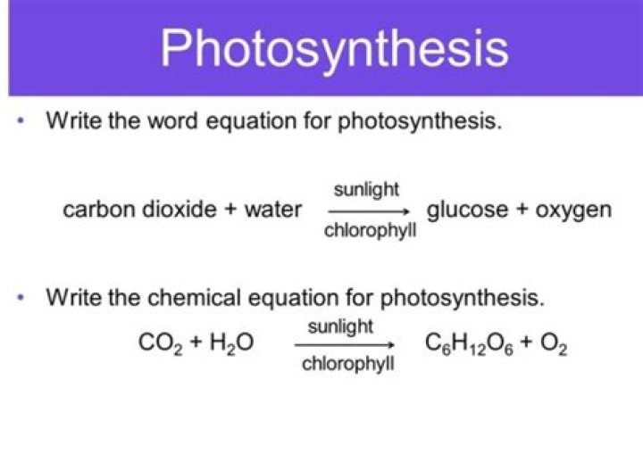 Word Equation For Photosynthesis - How To Discuss