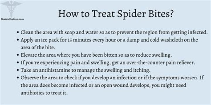 Writing Spider Bite - How To Discuss
