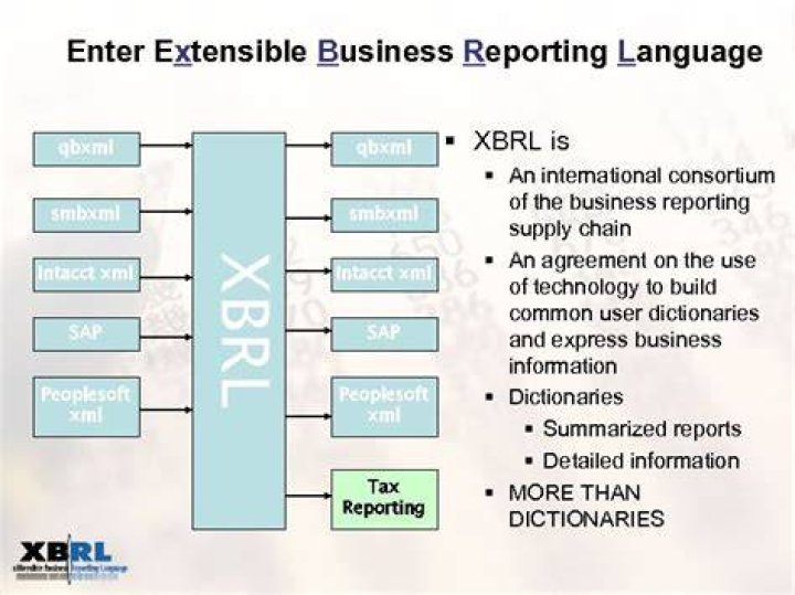 XBRL (eXtensible Business Reporting Language)